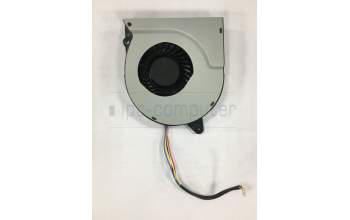 Asus 13PT01M1P02011 ZN240IC TH FAN