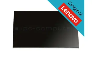 5D10W33976 Lenovo original IPS écran WQHD mat 100Hz