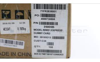 Lenovo 31042435 NIWE1 EXPRESS DUMMY CARD