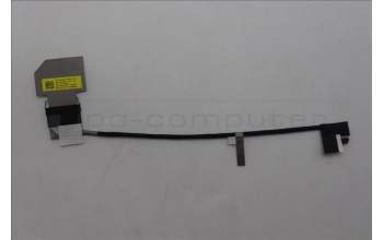 Lenovo 5C11P26221 CABLE FRU EDP CABEL, CS 3.0T WL Fenrir3