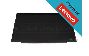 Lenovo 02DC313 original TN écran FHD (1920x1080) mat 60Hz