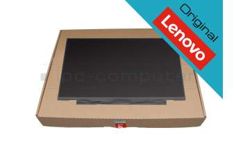 Lenovo 02HL713 original touchez IPS écran FHD (1920x1080) mat 60Hz