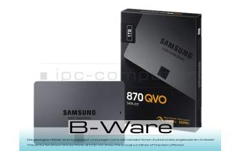 SSD1TR SSD 1TB (2,5 pouces / 6,4 cm) b-stock