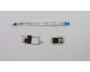 Lenovo 02DL713 CABLE Windu2 AMD FPR FFC ASM