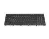 6-79-NJ50CU0K-xxx original Clevo clavier DE (allemand) moir/blanc/noir blanc